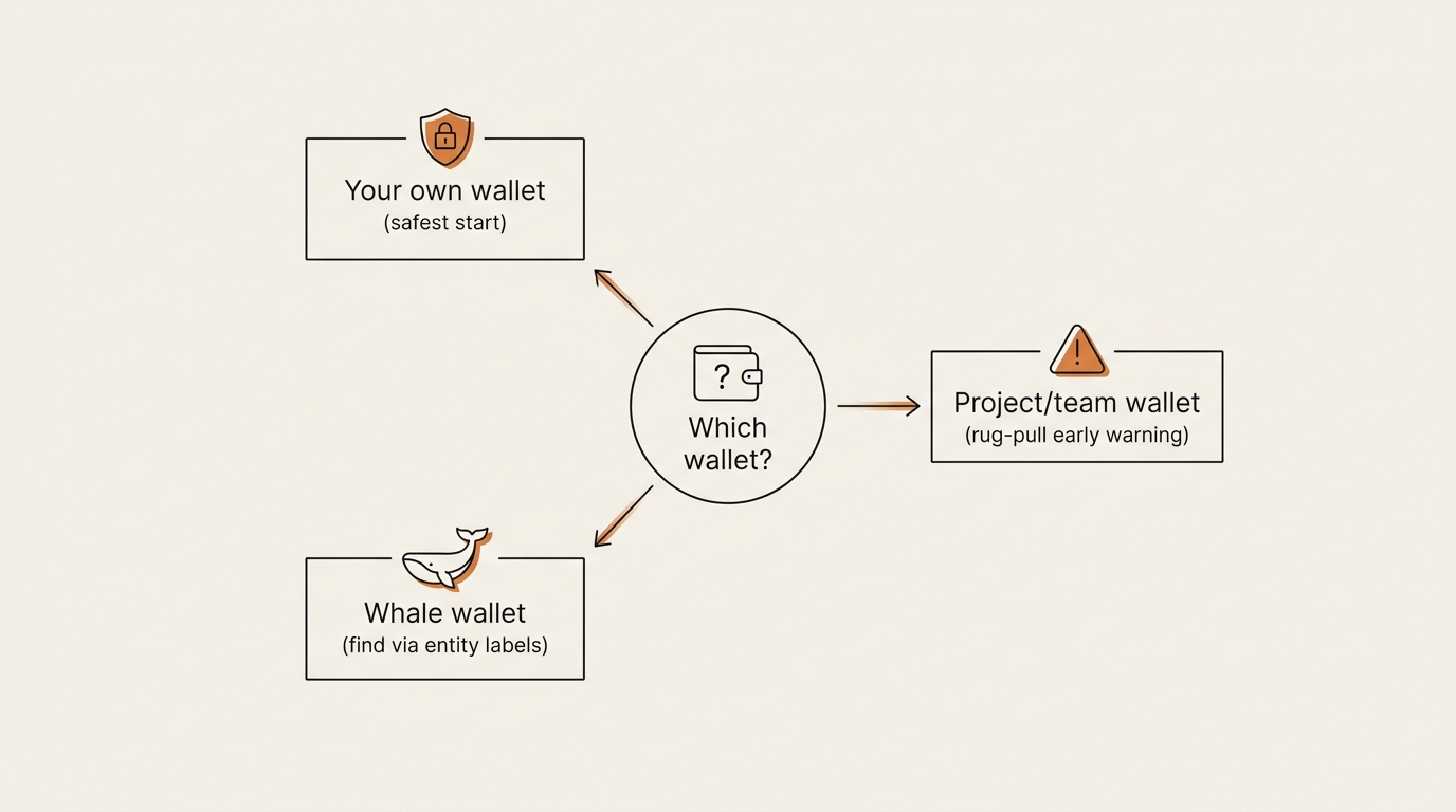 Decision diagram for finding a wallet address to track — three branches from a center node labeled 
